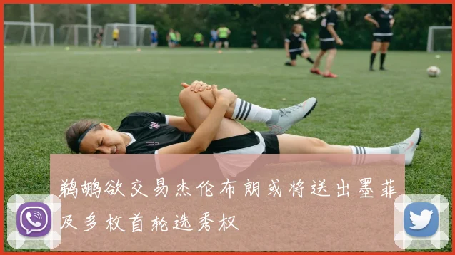 鹈鹕欲交易杰伦布朗或将送出墨菲及多枚首轮选秀权