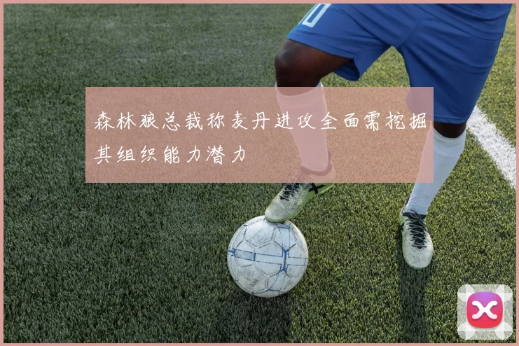 森林狼总裁称麦丹进攻全面需挖掘其组织能力潜力