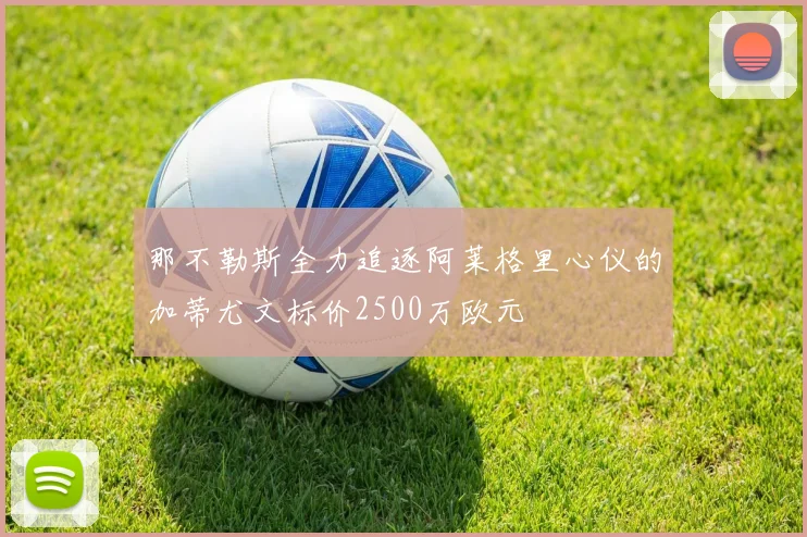 那不勒斯全力追逐阿莱格里心仪的加蒂尤文标价2500万欧元
