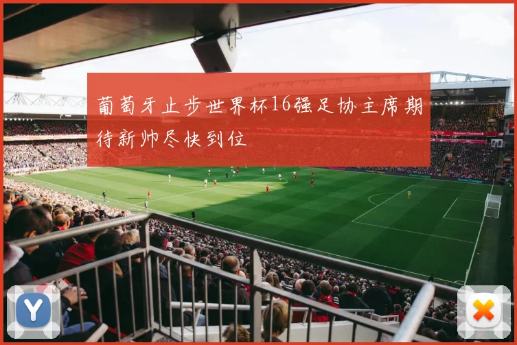 葡萄牙止步世界杯16强足协主席期待新帅尽快到位